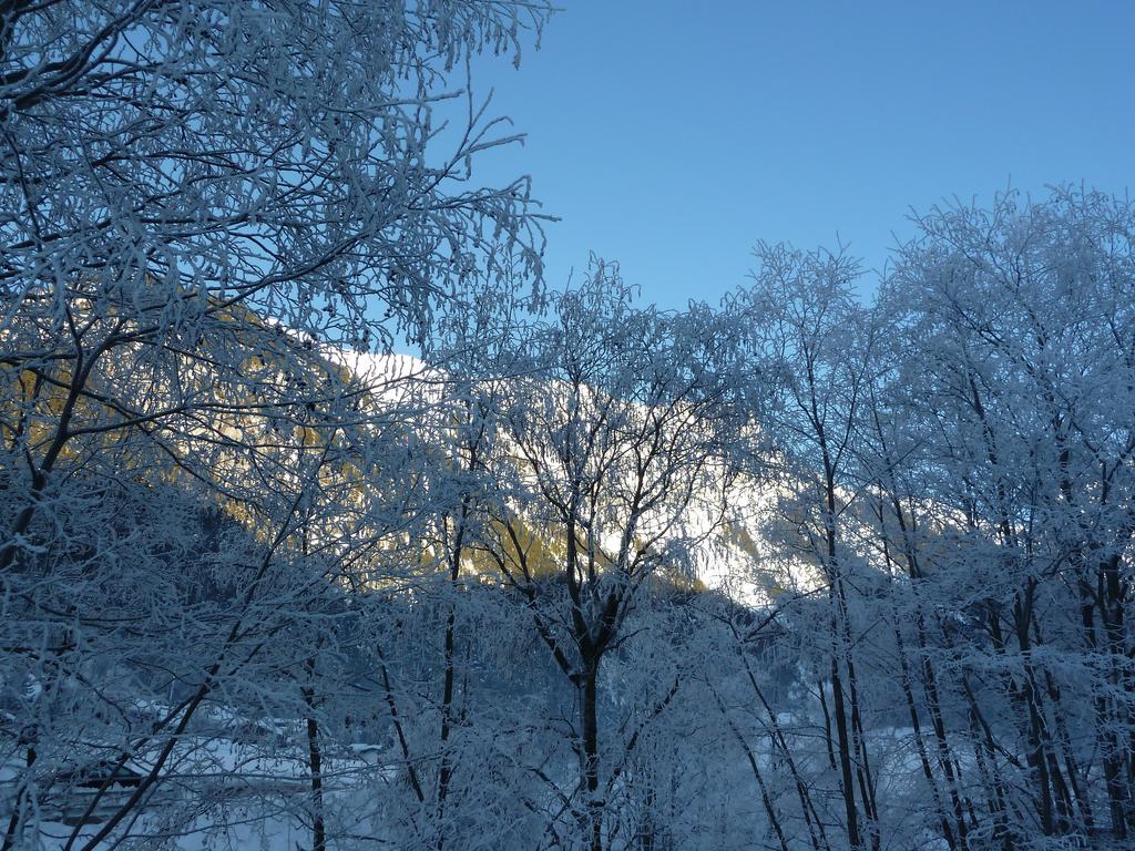 Appartement Strolz Schnann Dış mekan fotoğraf